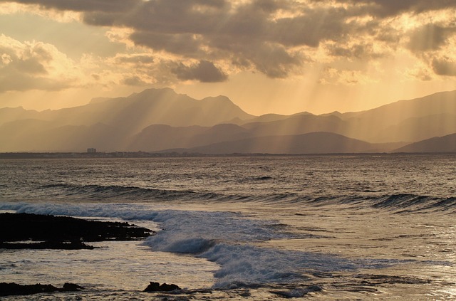 Shoreline