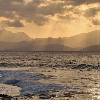 Shoreline